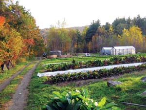 Movable greenhouses and row covers extend the growing season at Sidehill Farm in Ashfield, Mass.
